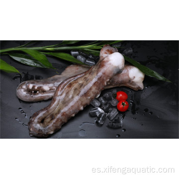Tentáculo de calamar congelado de mariscos congelados en venta caliente